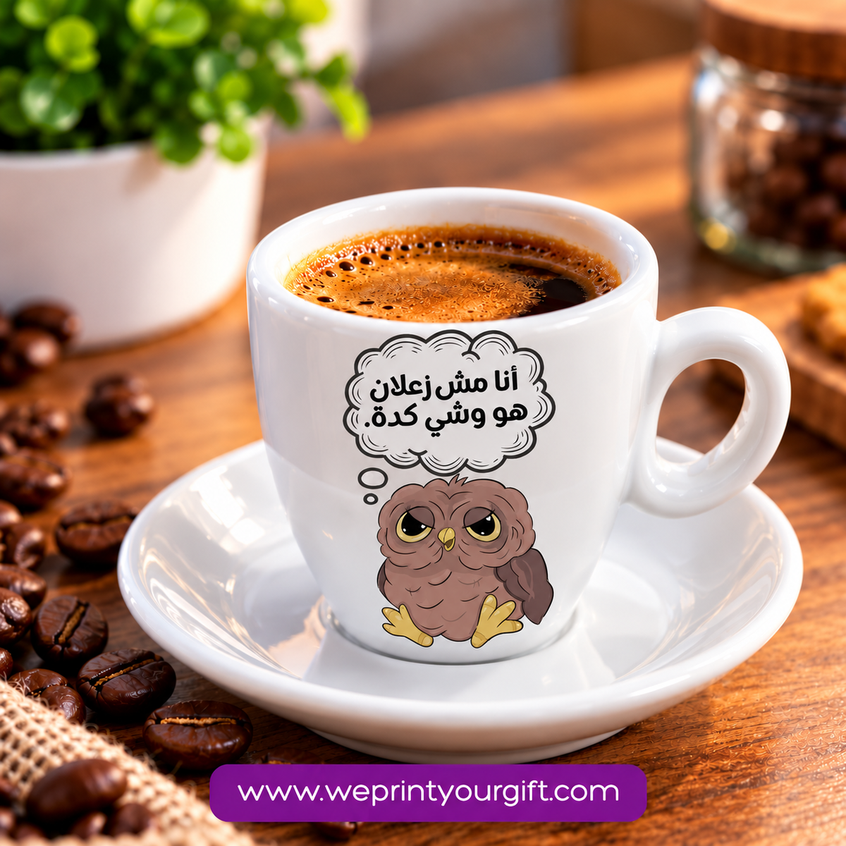 Cute Owl Ceramic Espresso Cups with Saucers – Adorable & Funny Owl Designs