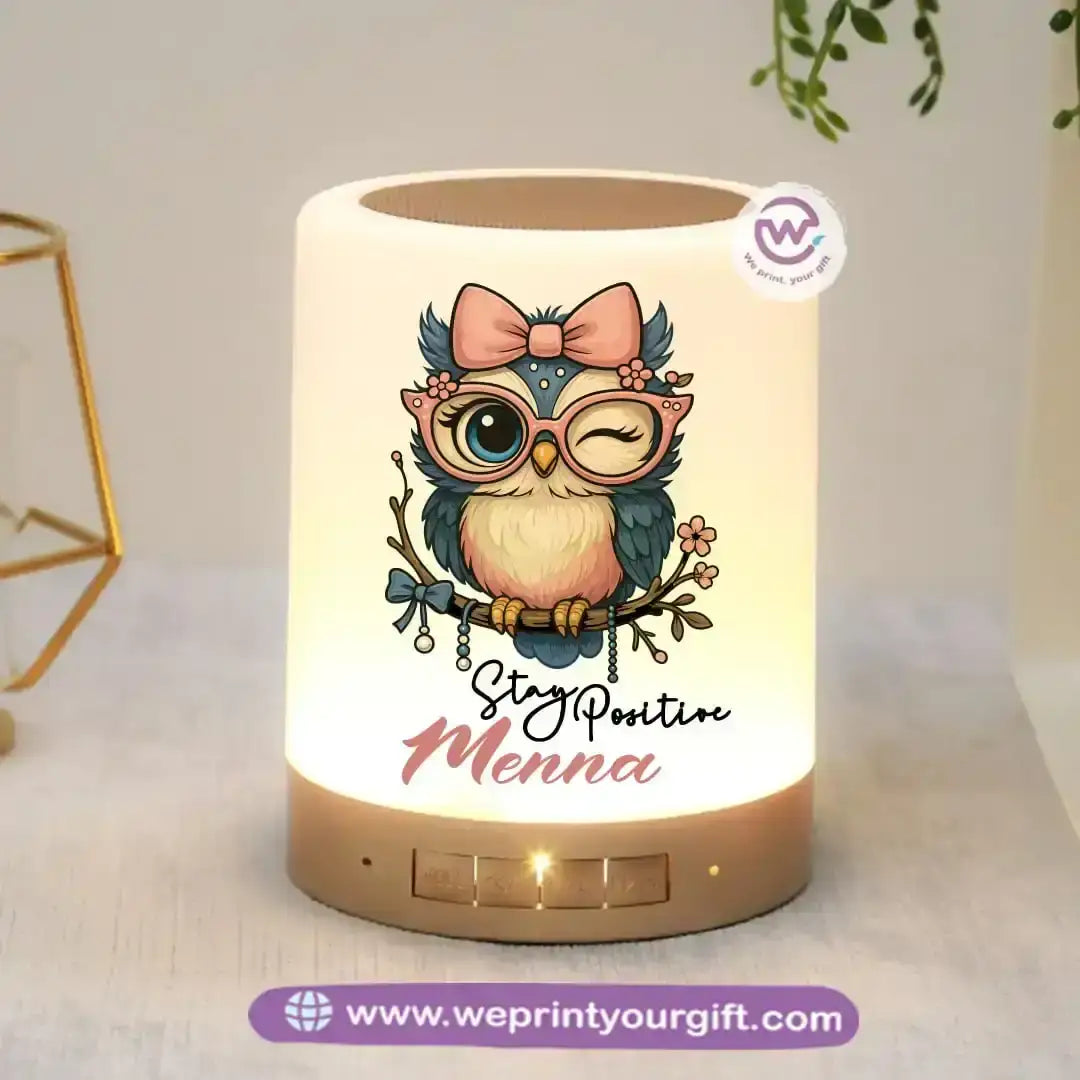 Portable Speaker and Lamp- Owl