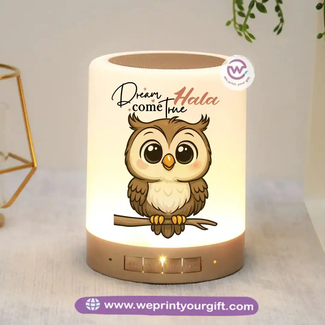 Portable Speaker and Lamp- Owl