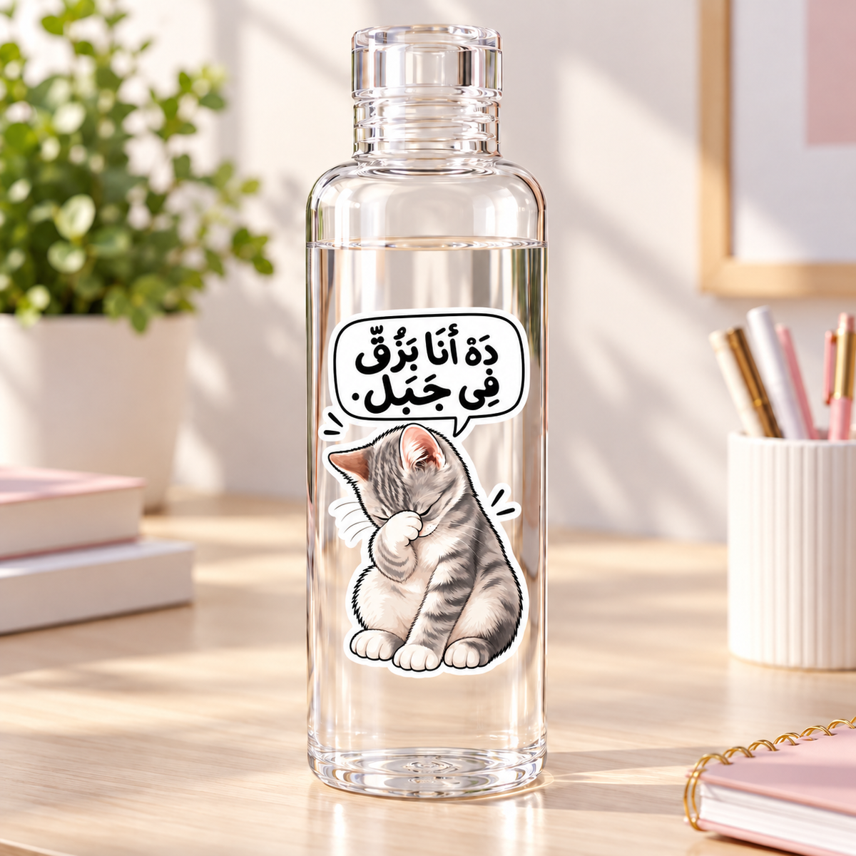 Naughty Cat -Clear Acrylic Water Bottles