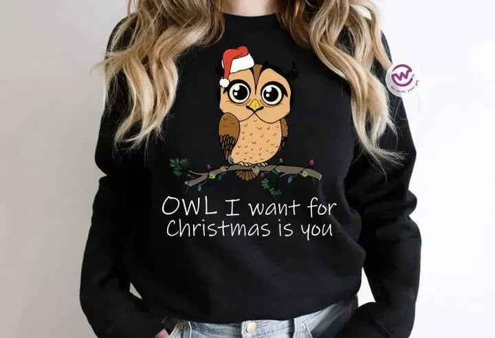 Adult Hoodies - Christmas -Owl - WE PRINT